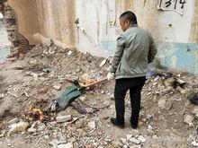 乌里雅斯太镇最新爆料,揭秘神秘事件背后的真相